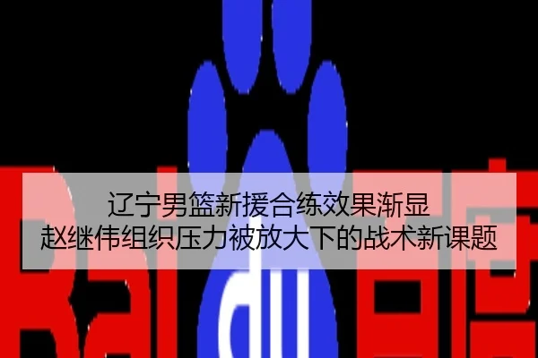 辽宁男篮新援合练效果渐显 赵继伟组织压力被放大下的战术新课题