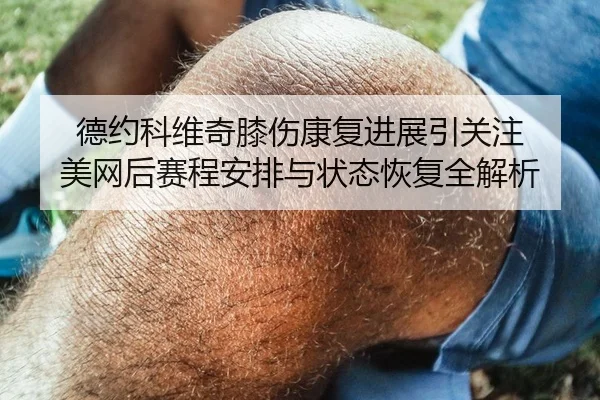 德约科维奇膝伤康复进展引关注 美网后赛程安排与状态恢复全解析