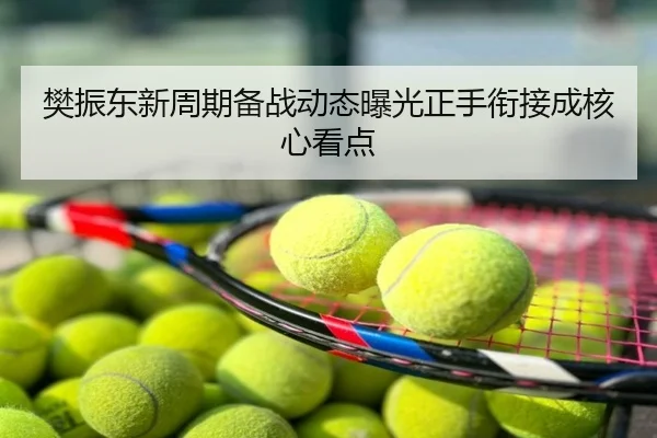 樊振东新周期备战动态曝光正手衔接成核心看点